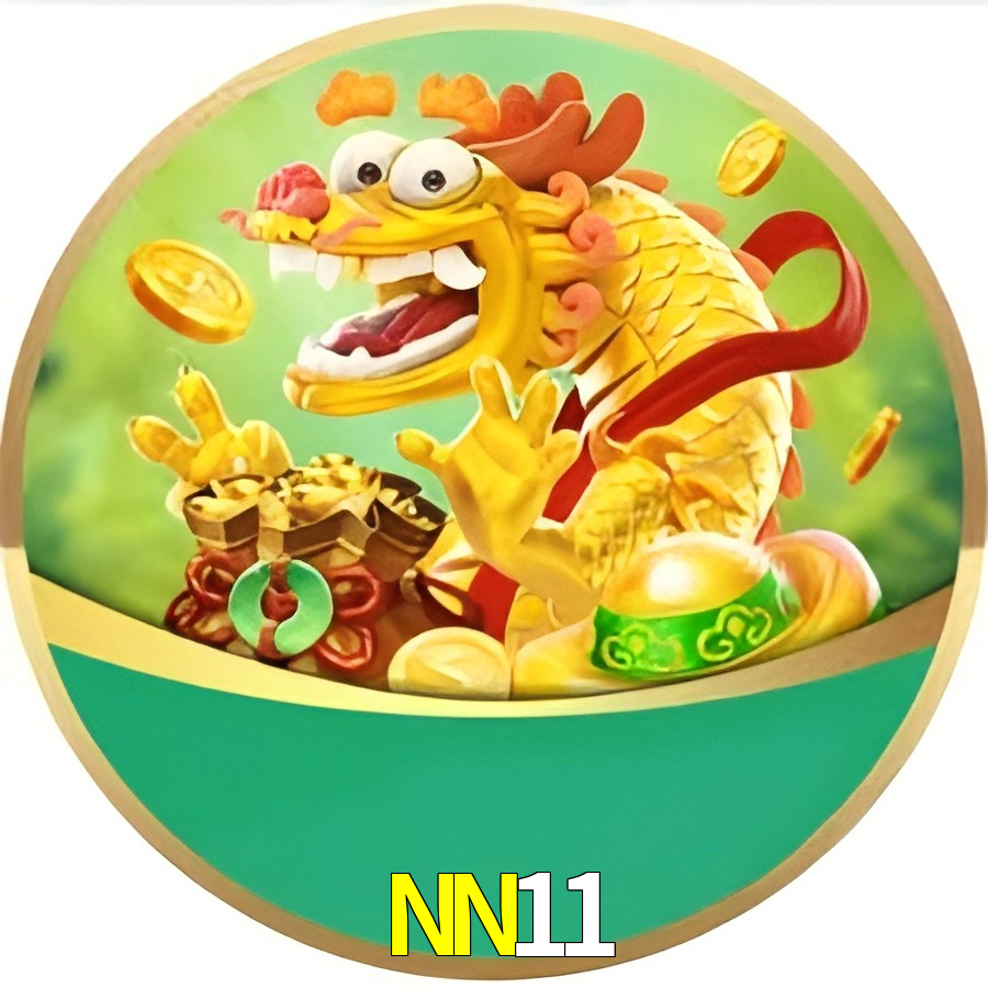 NN11